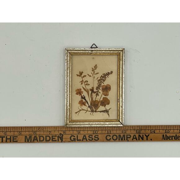 Vintage Framed Pressed Flowers made in Germany - Picture 4 of 4